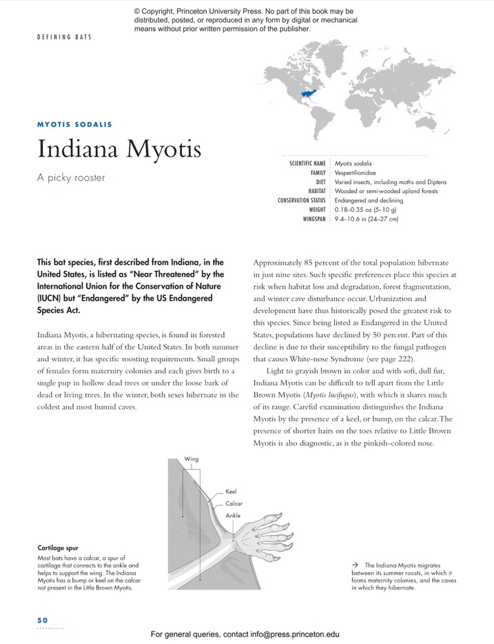 THE LIVES OF BATS. A NATURAL HISTORY 3