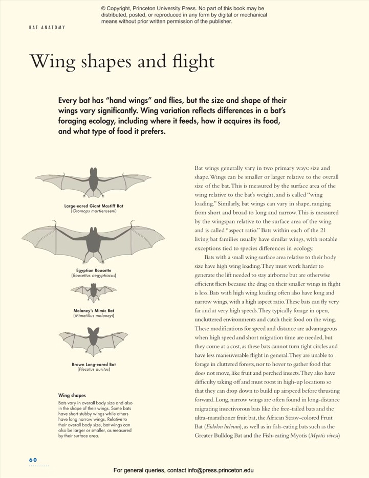 THE LIVES OF BATS. A NATURAL HISTORY 5