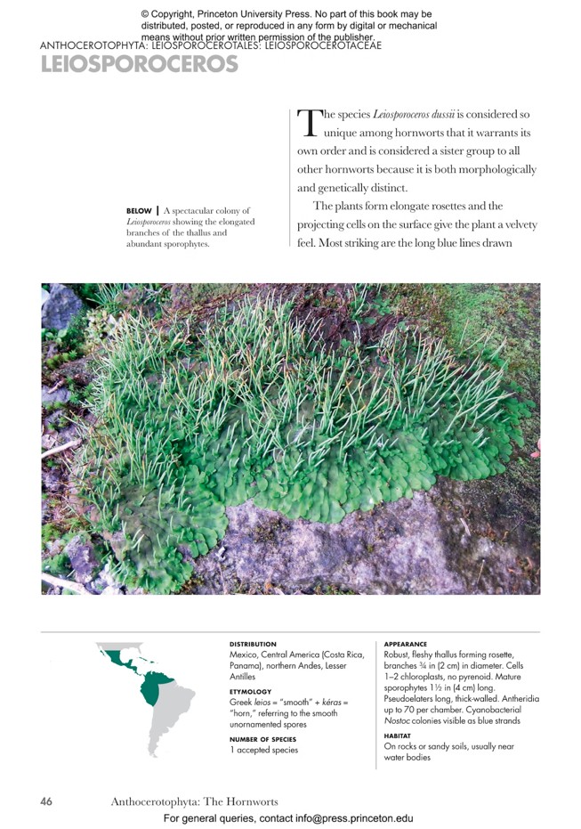 MOSSES, LIVERWORTS, AND HORNWORTS OF THE WORLD. A GUIDE TO EVERY ORDER 4