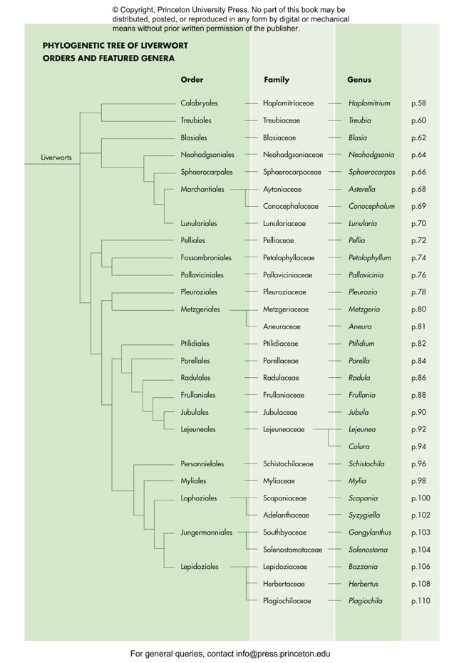 MOSSES, LIVERWORTS, AND HORNWORTS OF THE WORLD. A GUIDE TO EVERY ORDER 6