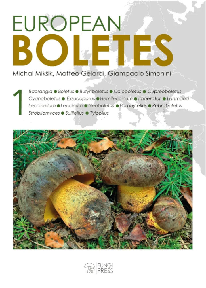 EUROPEAN BOLETES. VOL 1