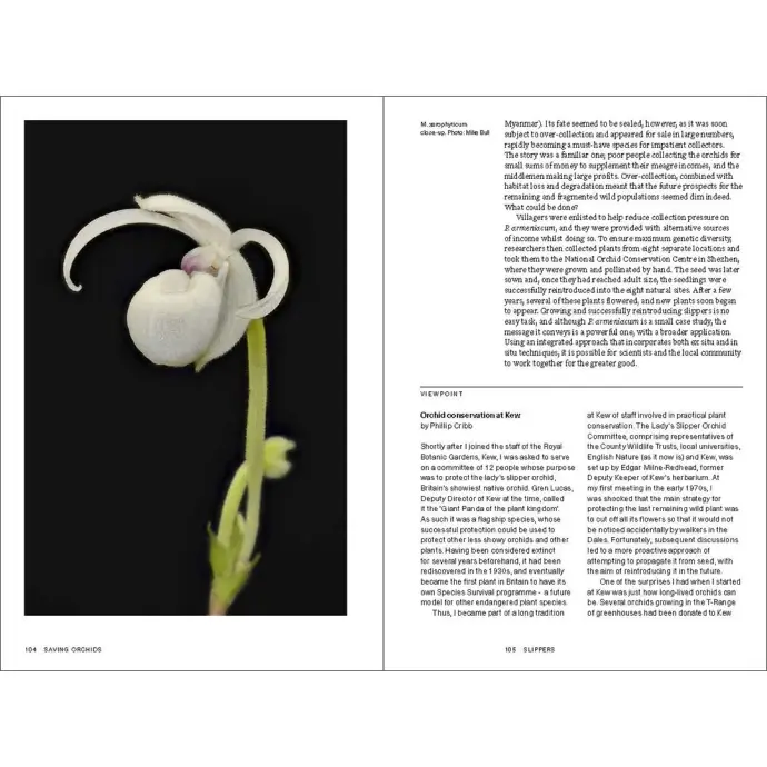 SAVING ORCHIDS. STORIES OF SPECIES SURVIVAL IN A CHANGING WORLD 2