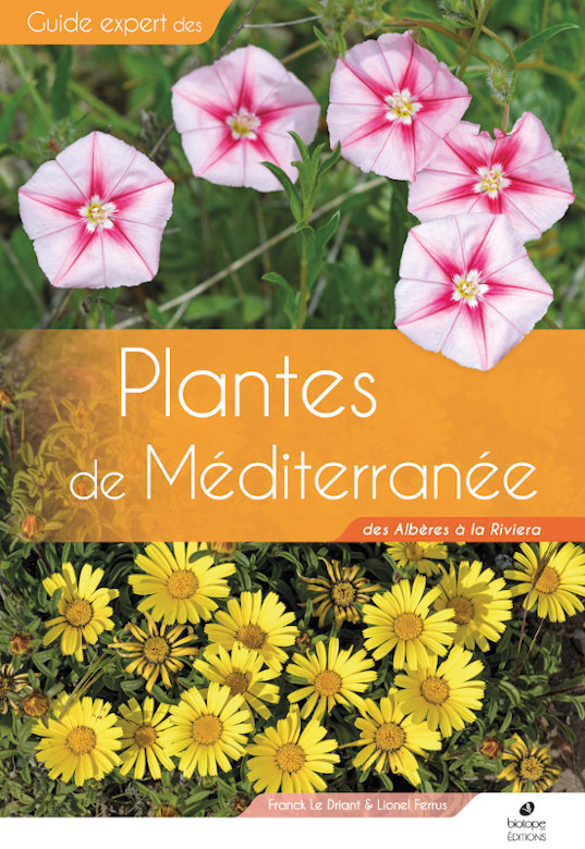 PLANTES DE MÉDITERRANÉE. DES ALBÈRES À LA RIVIERA 1