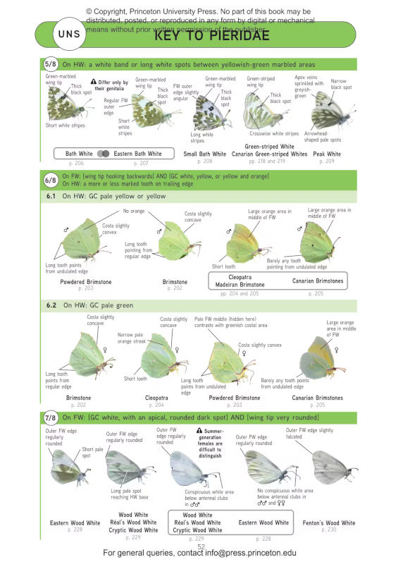 BUTTERFLIES OF BRITAIN AND WESTERN EUROPE AND THEIR CATERPILLARS. AN IDENTIFICATION GUIDE 5