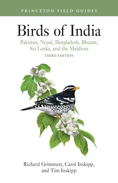 BIRDS OF INDIA. PAKISTAN, NEPAL, BANGLADESH, BHUTAN, SRI LANKA AND THE MALDIVES 1
