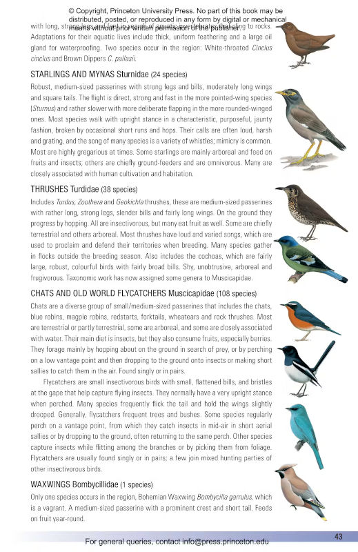 BIRDS OF INDIA. PAKISTAN, NEPAL, BANGLADESH, BHUTAN, SRI LANKA AND THE MALDIVES 4