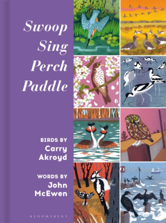 SWOOP SING PERCH PADDLE. BIRDS BY CARRY AKROYD 1