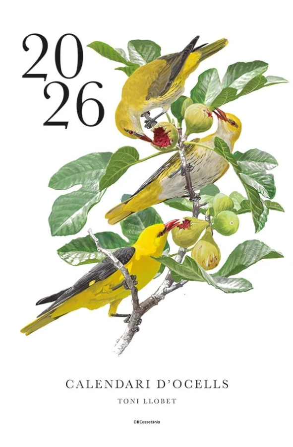 CALENDARI D'OCELLS 2026 TONI LLOBET