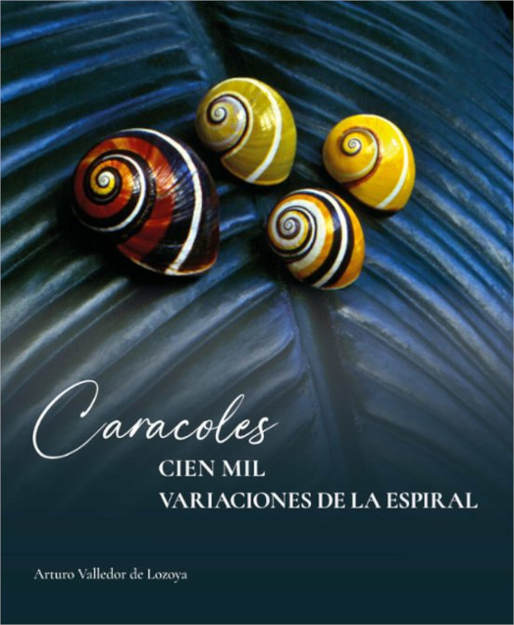 CARACOLES. CIEN MIL VARIEDADES DE LA ESPIRAL