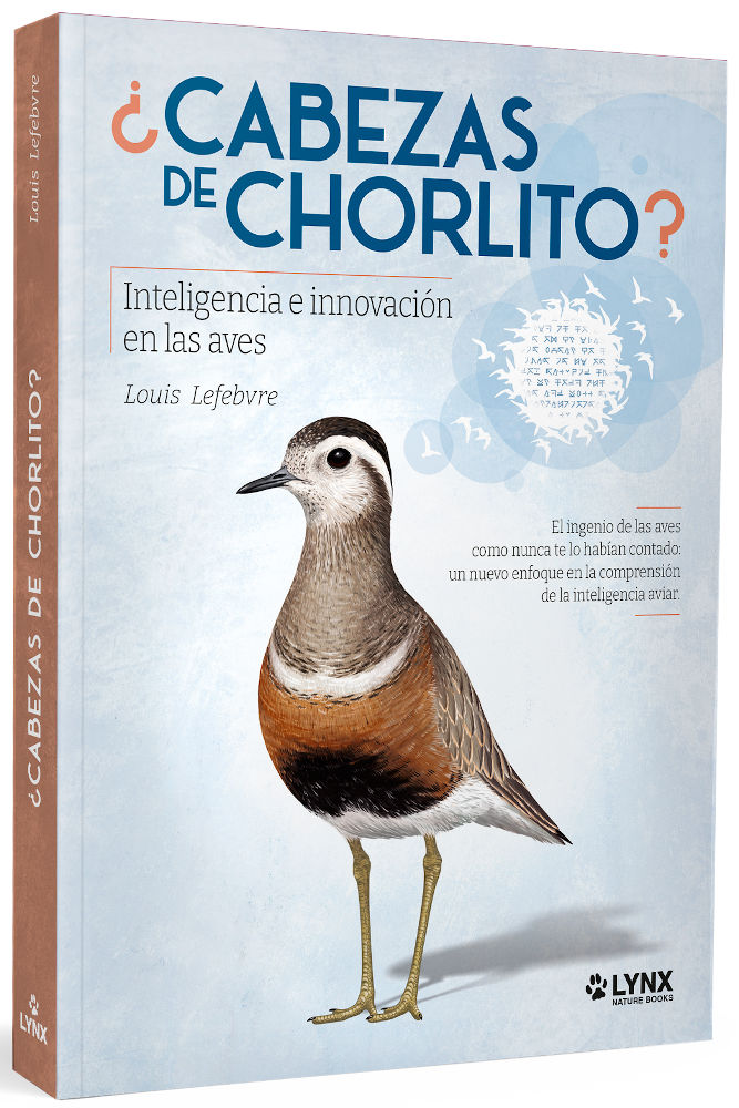 ¿CABEZAS DE CHORLITO? INTELIGENCIA E INNOVACIÓN EN LAS AVES 1