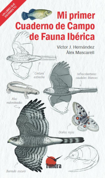MI PRIMER CUADERNO DE CAMPO DE FAUNA IBÉRICA 1