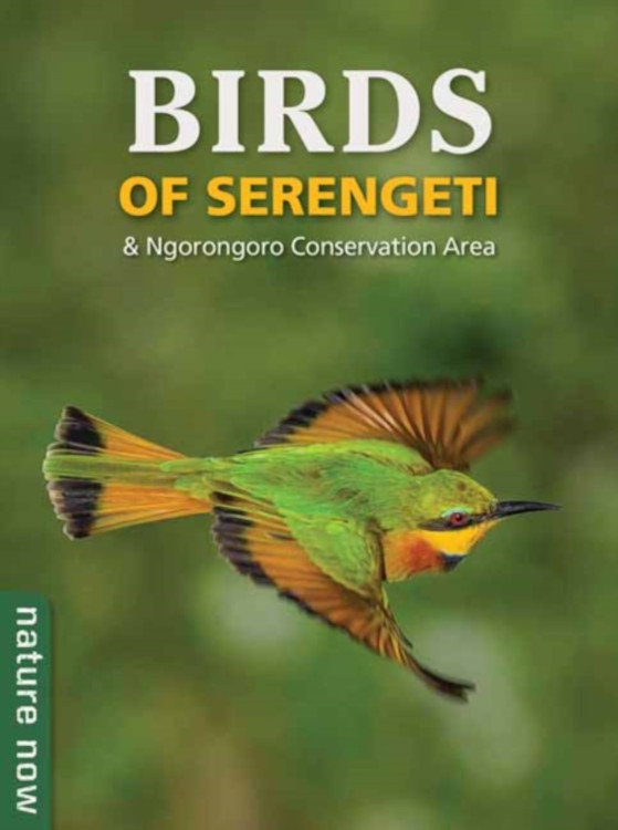 BIRDS OF SERENGETI & NGORONGORO CONSERVATION AREA