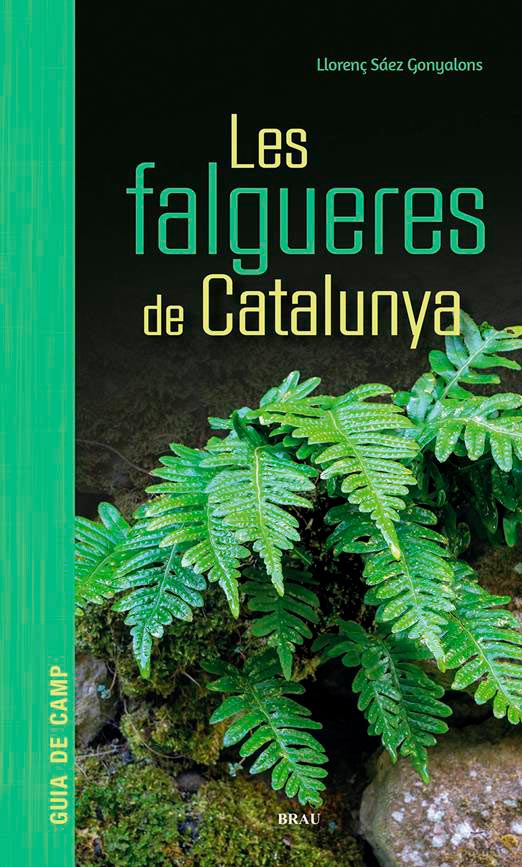 LES FALGUERES DE CATALUNYA. GUIES DE CAMP 1