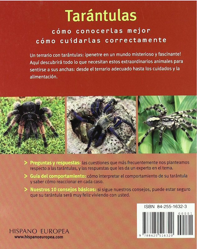 TARANTULAS. FASCINANTES Y EXÓTICAS 2