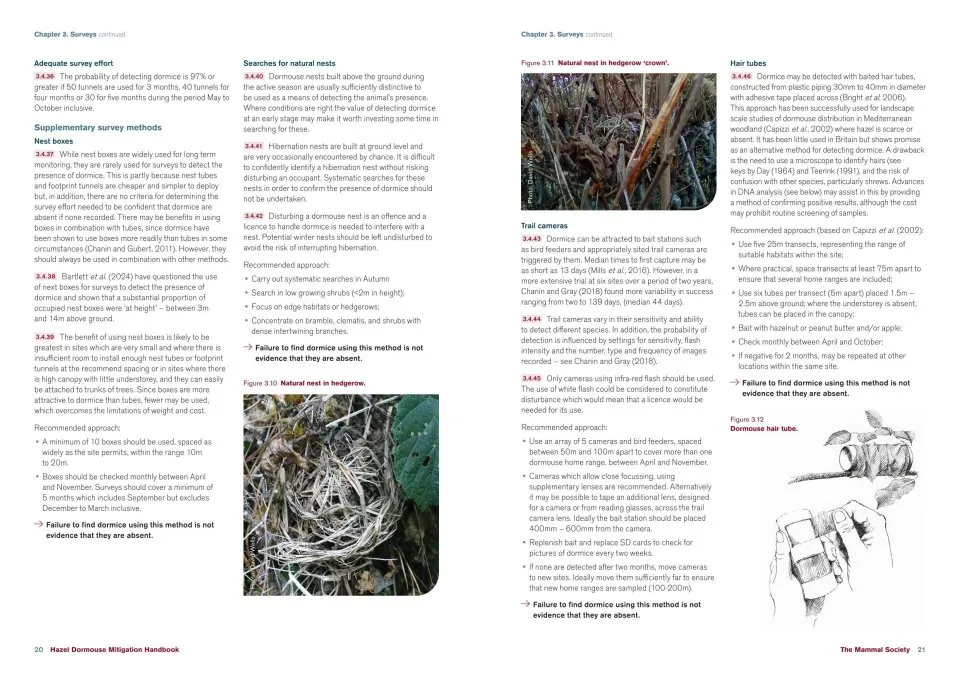 HAZEL DORMOUSE MITIGATION HANDBOOK 2