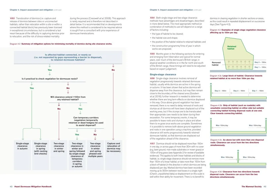 HAZEL DORMOUSE MITIGATION HANDBOOK 3