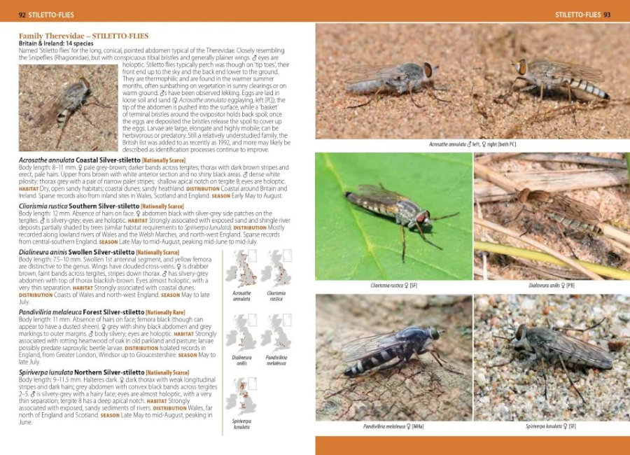 A PHOTOGRAPHIC GUIDE TO FLIES OF BRITAIN & IRELAND 4