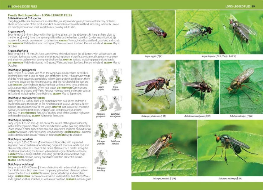 A PHOTOGRAPHIC GUIDE TO FLIES OF BRITAIN & IRELAND 5