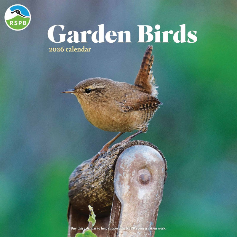 RSPB GARDEN BIRDS SQUARE WALL CALENDAR 2026 1