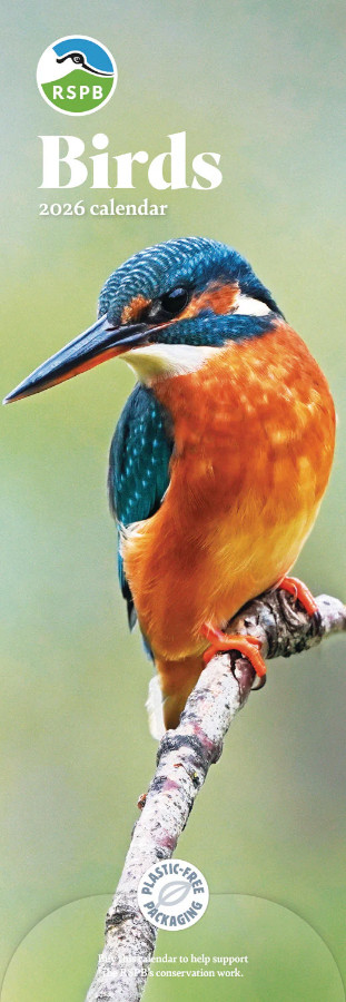 RSPB BIRDS SLIM CALENDAR 2026 1