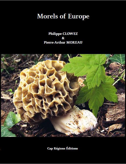 MORELS OF EUROPE 1