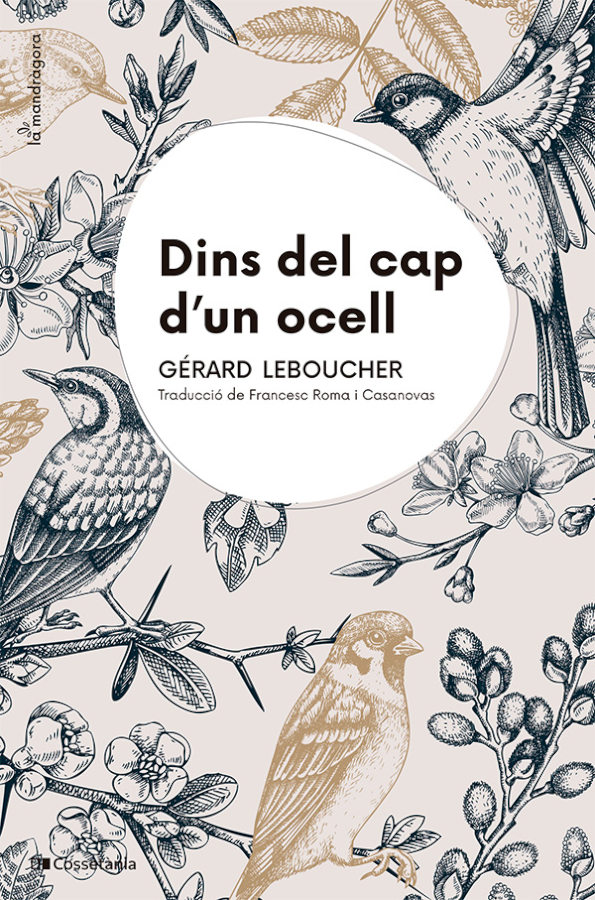 DINS DEL CAP D'UN OCELL