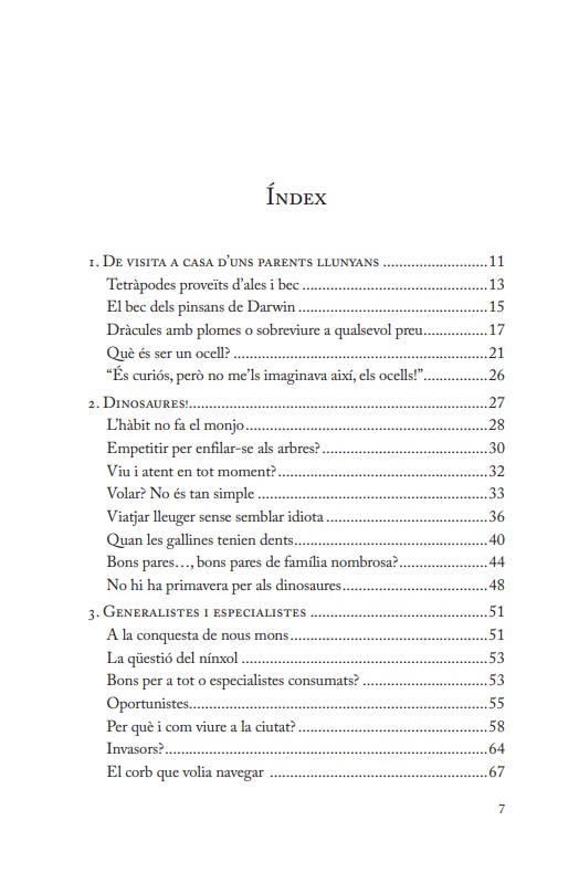 DINS DEL CAP D'UN OCELL 2