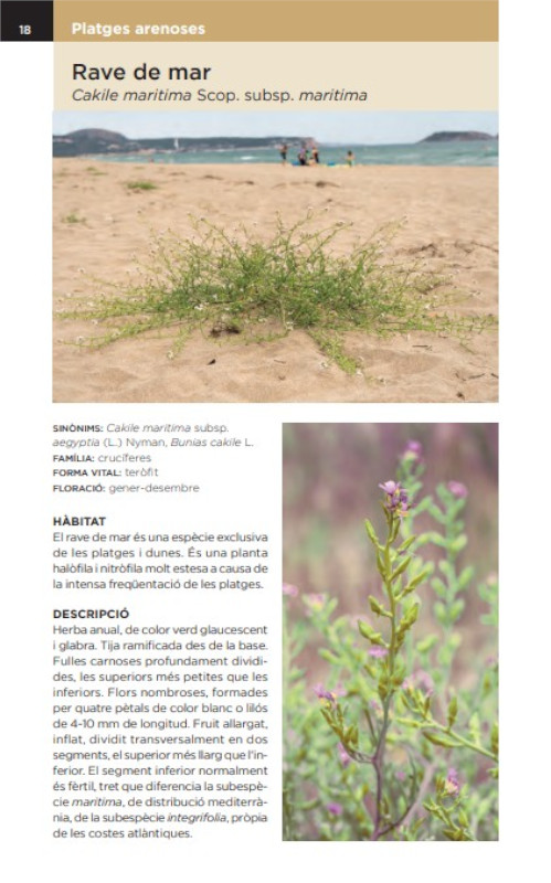 GUIA DE LA FLORA DE LES DUNES DE CATALUNYA 2