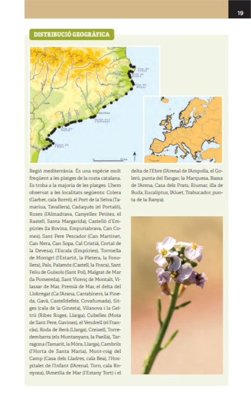GUIA DE LA FLORA DE LES DUNES DE CATALUNYA 3