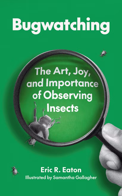 BUGWATCHING: THE ART, JOY AND IMPORTANCE OF OBSERVING INSECTS 1