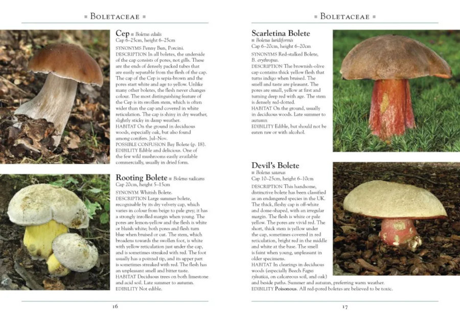 A NATURALIST'S GUIDE TO THE MUSHROOMS OF BRITAIN AND NORTHERN EUROPE 2
