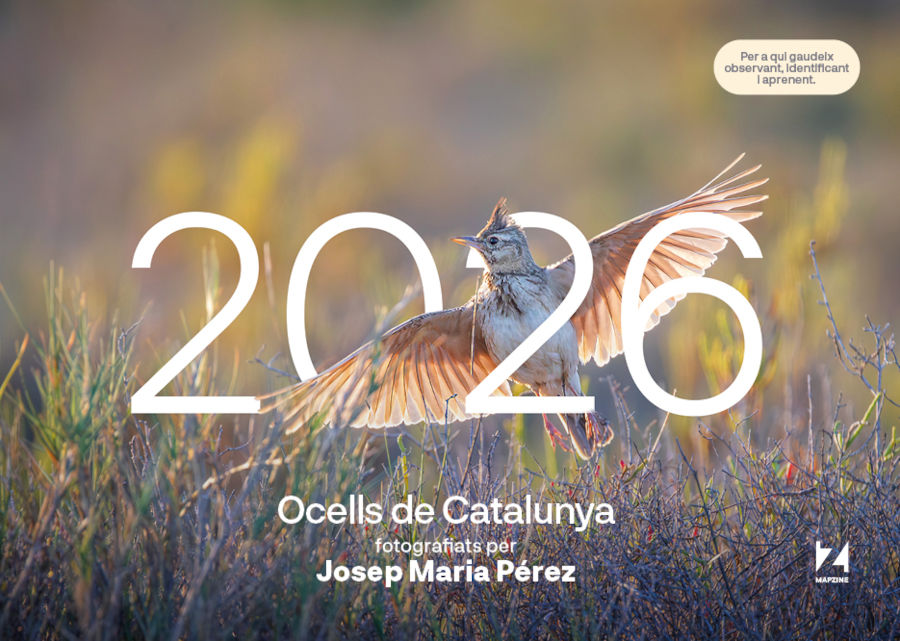 CALENDARI MAPZINE 2026 OCELLS DE CATALUNYA 1