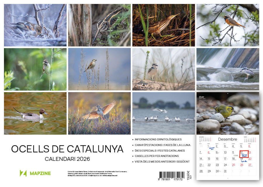 CALENDARI MAPZINE 2026 OCELLS DE CATALUNYA 2