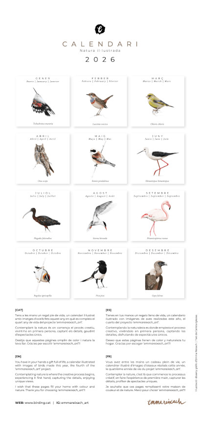 CALENDARI D'OCELLS NATURA IL·LUSTRADA 2026 2