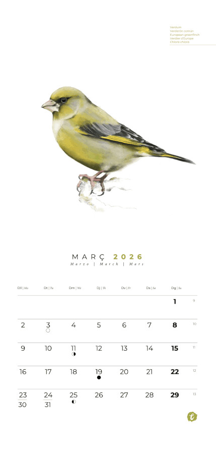 CALENDARI D'OCELLS NATURA IL·LUSTRADA 2026 3