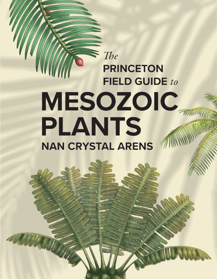 THE PRINCETON FIELD GUIDE TO MESOZOIC PLANTS 1