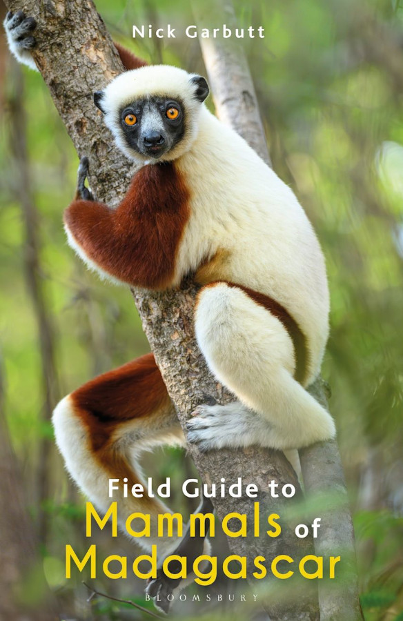 FIELD GUIDE TO MAMMALS OF MADAGASCAR 1