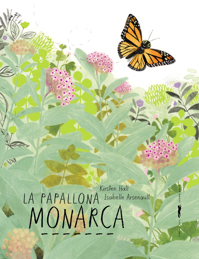 LA PAPALLONA MONARCA 1