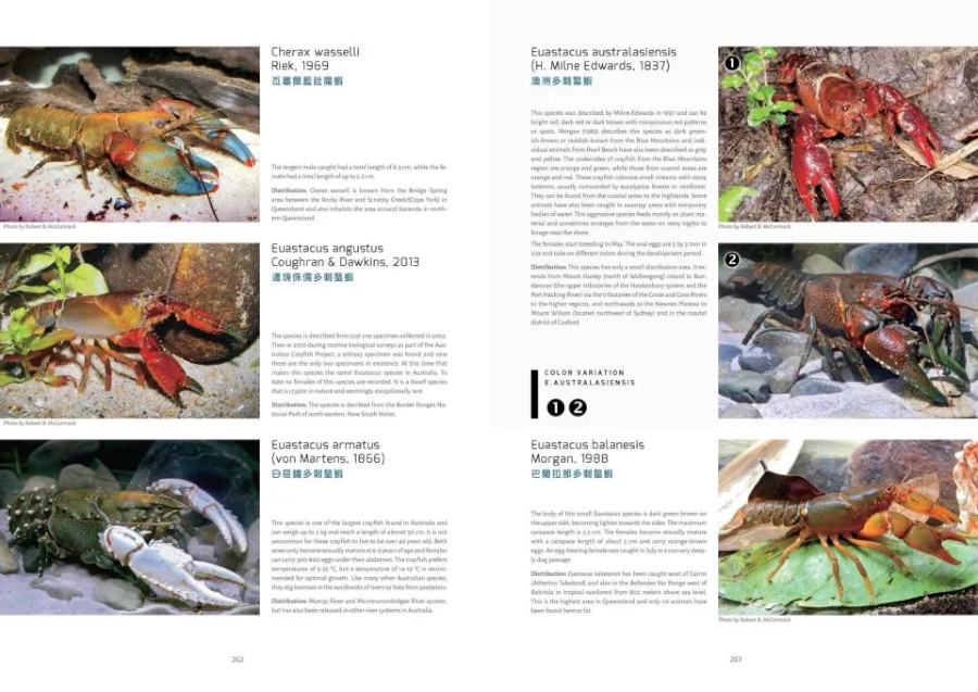 CRAYFISH OF THE WORLD 2