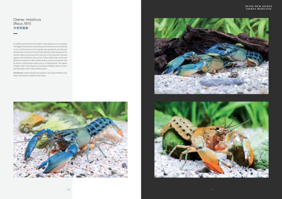 CRAYFISH OF THE WORLD 3