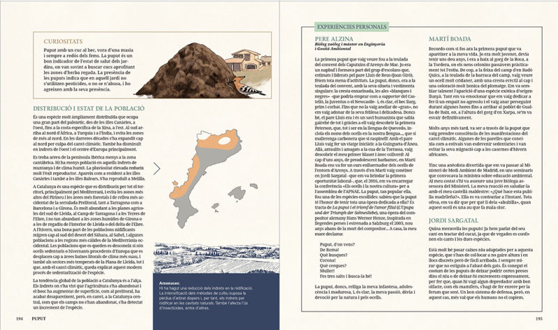 GRANS OCELLS DELS PAÏSOS CATALANS. RECULL D'EXPERIÈNCIES AMB 50 ESPÈCIES QUE PODEM TROBAR A LA NOSTRA TERRA 3