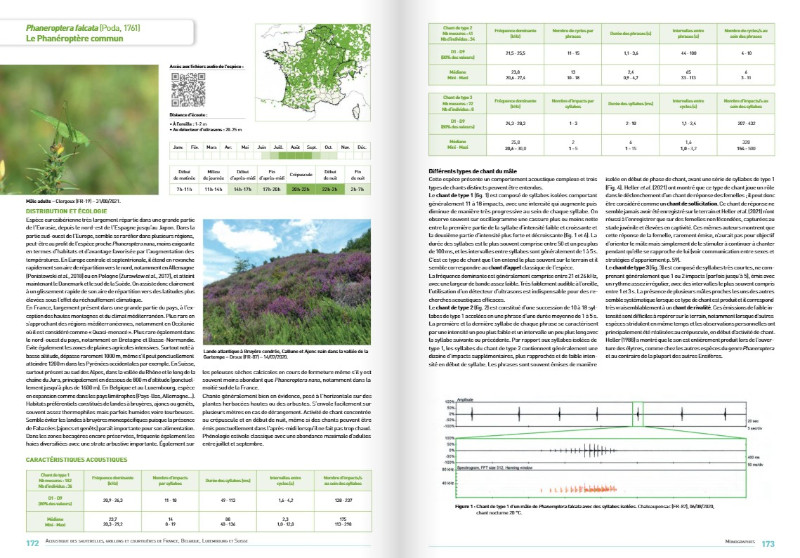 ACOUSTIQUE DES SAUTERELLES, GRILLONS ET COURTILIÈRES DE FRANCE, BELGIQUE, LUXEMBOURG ET SUISSE 2