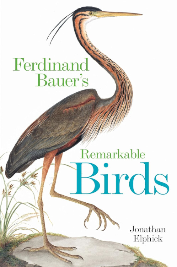 FERDINAND BAUER'S REMARKABLE BIRDS 1