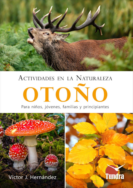 ACTIVIDADES EN LA NATURALEZA EN OTOÑO 1