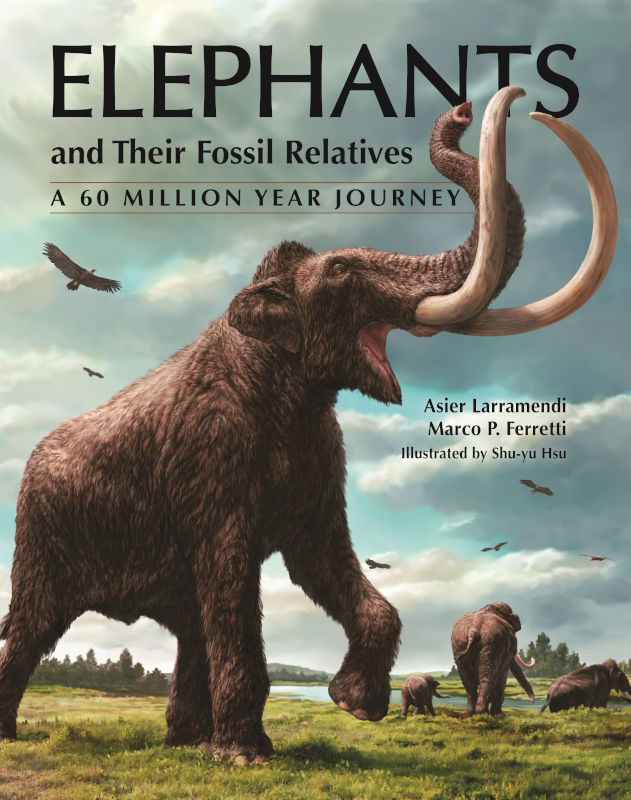 ELEPHANTS AND THEIR FOSSIL RELATIVES: A 60 MILLION YEAR JOURNEY 1