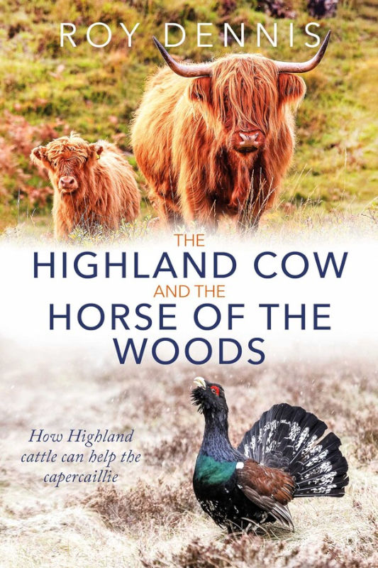 HIGHLAND COW AND THE HORSE OF THE WOODS. HOW HIGHLAND CATTLE CAN HELP SAVE THE CAPERCAILLIE 1