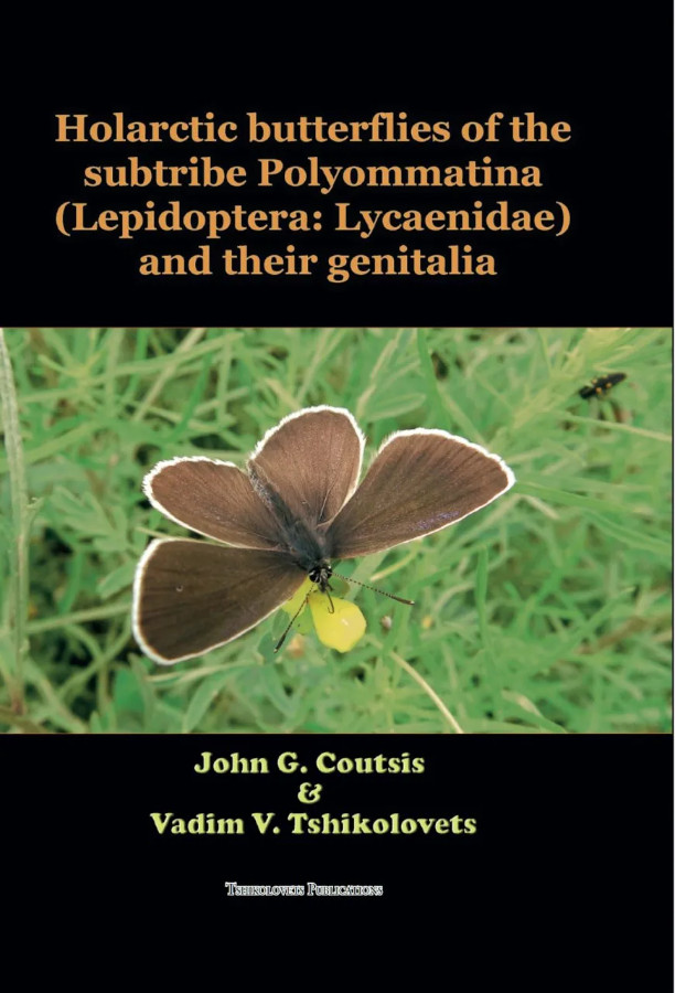 HOLARCTIC BUTTERFLIES OF THE SUBTRIBE POLYOMMATINA (LEPIDOPTERA: LYCAENIDAE) AND THEIR GENITALIA 1