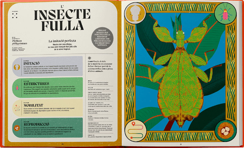 SUPERPODERS DELS INSECTES 2