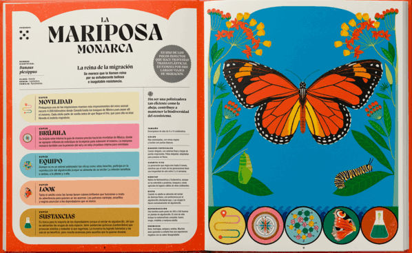 SUPERPODERES DE LOS INSECTOS 2