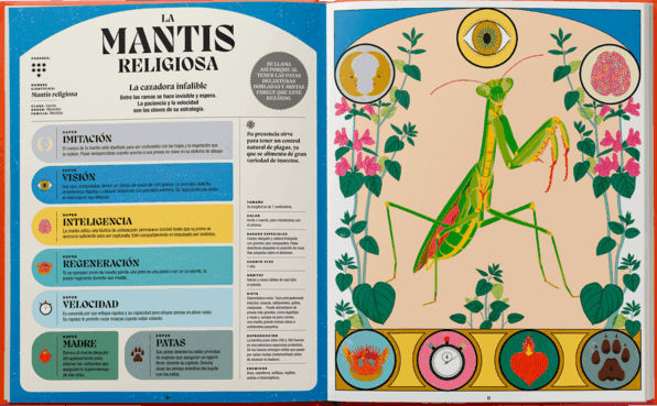 SUPERPODERES DE LOS INSECTOS 3